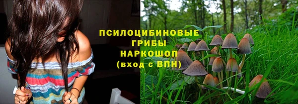 прущий лед Осинники