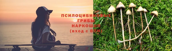 мдпв Гусиноозёрск