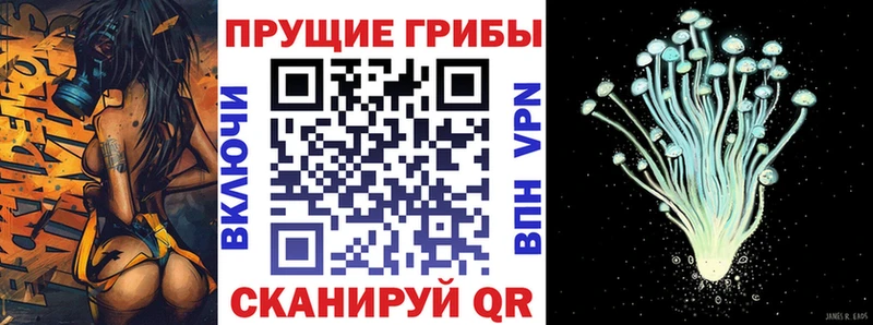 Псилоцибиновые грибы Magic Shrooms  это состав  Котово  сколько стоит 